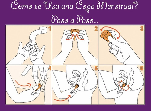Copas Menstruales Tallas S Y L + Regalo. Mayor Y Detal