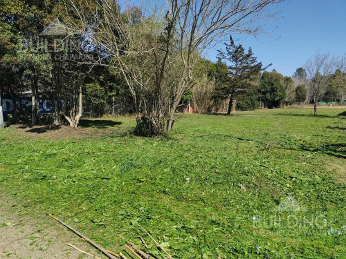 Imagen 4 de 6 de Terreno - Arana