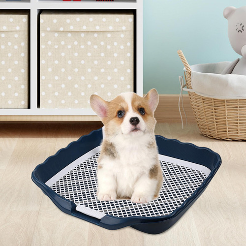 Baño Para Ir Al Baño, Entrenamiento De Mascotas, Azul