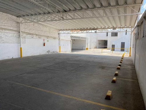 Bodega En Renta En Constitucion, S.l.p.