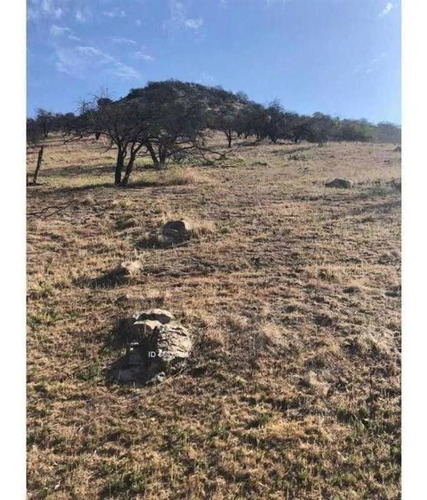 Sitio En Venta En Colina