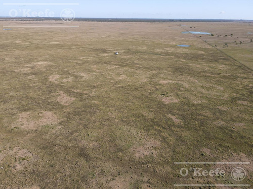 Imagen 10 de 27 de Campo De 600 Has En Venta En Gualeguaychu - Muy Buen Campo Ganadero De 0,7 Ev/ha Con Casco