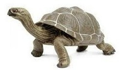 Figura De Tortuga Xl Marca Safari