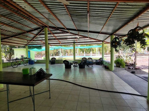 Terreno En Venta En Veracruz Con Casa De Descanso Loc. Palo Gacho.