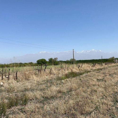 Venta | Terreno | Vista Flores | Tunuyán | Valle De Uco | 2.178 M2