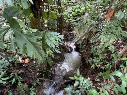 Ganga!!!, Lote En El Pie De Monte A Un Valor De Oportunidad