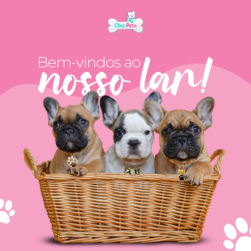 Imagem 1 de 1 de Procuro Sócio Investidor Para Indústria De Acessórios Pets