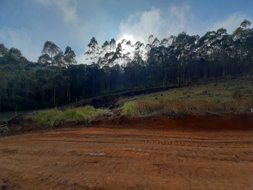 Imagem 9 de 9 de Terrenos De 1000² Para Sua Casa-interior De Sp