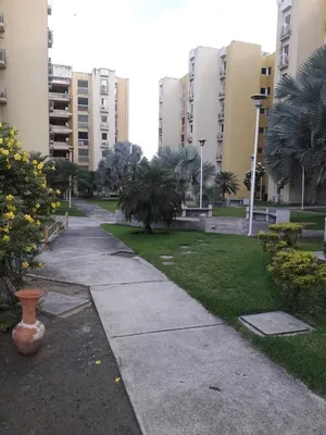 Apartamento en alquiler