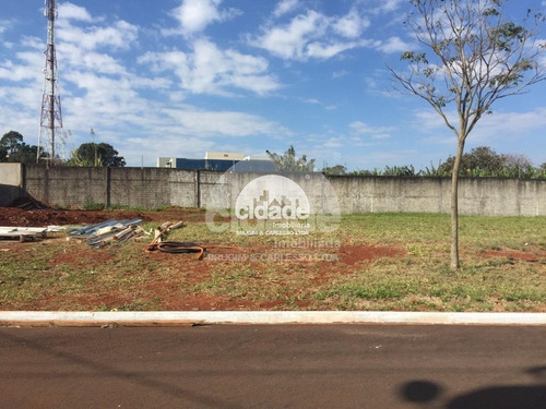 Imagem 5 de 16 de Terreno Em Condomínio À Venda, Alto Alegre - Cascavel/pr - 11517