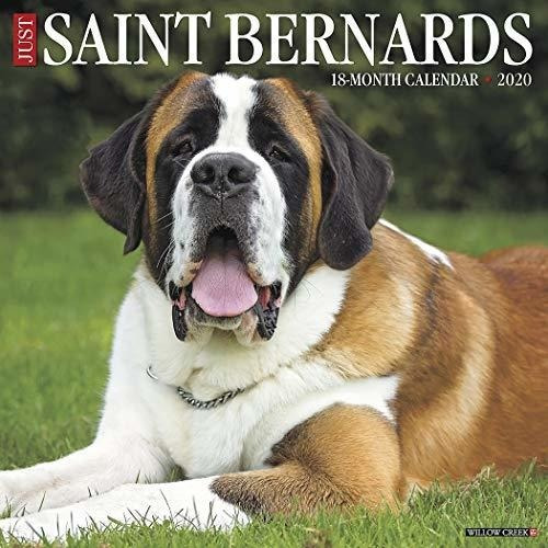 Calendario De Pared De Just Saint Bernards 2020 (calendario 