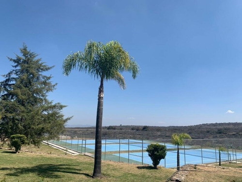 Imagen 6 de 26 de Terreno En Venta En Fraccionamiento Campestre Huichapan, Hidalgo - (2)