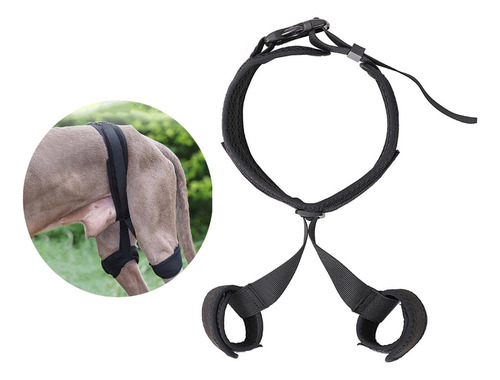 Soporte De Cadera Para Perro Para Patas Traseras Soporte S