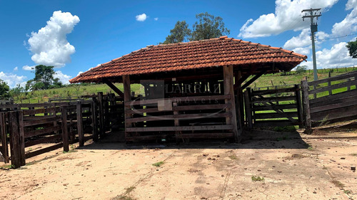 Ótima Fazenda Para Venda Em Cassia Dos Coqueiros-sp, 46 Alqueires, Totalmente Mecanizável, Casa Sede, Poço Artesiano, Represa, Nascentes E Barracões - Fa00050 - 68709761