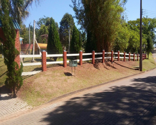 Imagem 28 de 30 de Casa - Ca01893 - 4444537