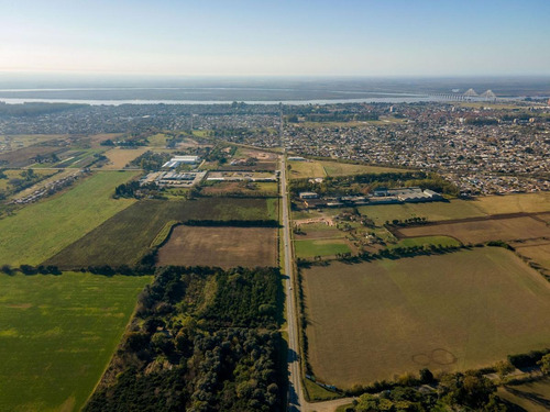 Imagen 14 de 21 de Lotes Industriales En Baigorria De 2.500 A 18.000 M2