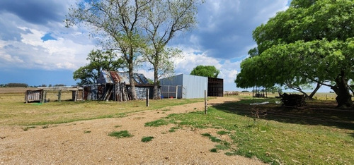 Imagen 8 de 30 de Excelente Campo Con Muy Buenas Mejoras .