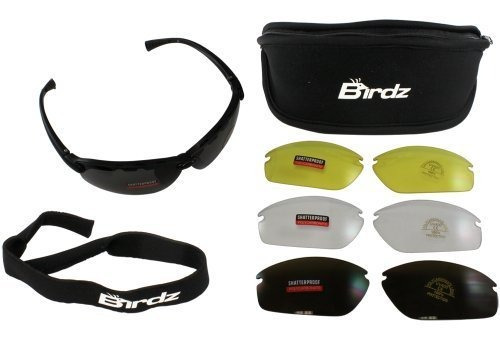 Birdz Eyewear Hawkkit1 Gafas Intercambiables (marco Negro