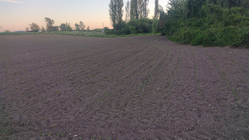 Terreno En Comuna De Retiro, Región Del Maule