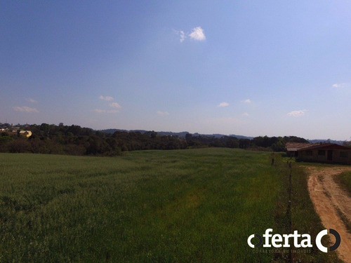 Imagem 11 de 14 de Terreno - Serrinha - Ref: 147 - V-147