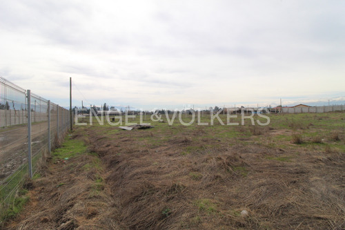 Sitio En Olivar