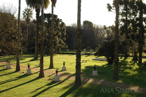 Imagen 4 de 29 de Campo - San Miguel Del Monte