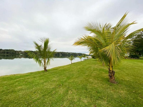 Lotes Venta Fraccionamiento Arboledas Del Río 600 M² Tuxpan Veracruz
