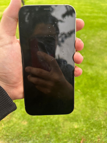 Iphone 12 Pro Max Dorado 128gb Dorado Claro (Usado)