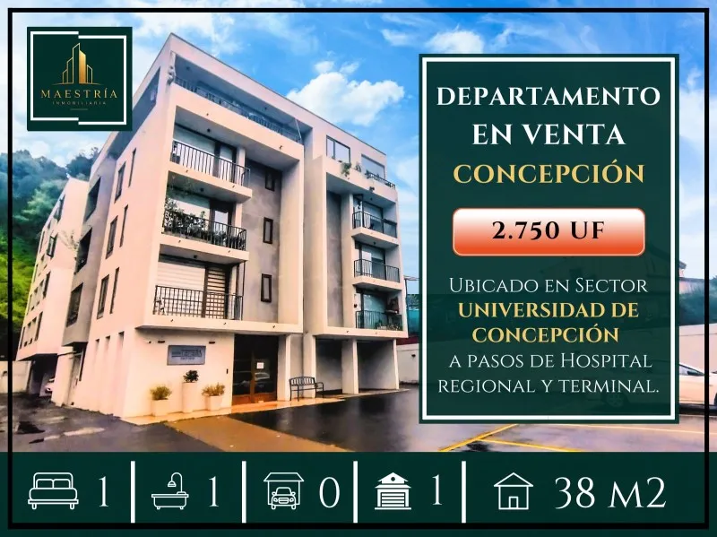 Imagen 1 de 10 de Departamento En Venta Concepción