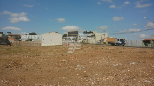 Imagem 6 de 15 de Terreno Com 4917m² No Capão Raso, Próximo Ao Terminal. - Re61432378