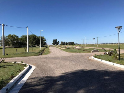 Imagen 8 de 12 de Terreno - Nueva Hermosura