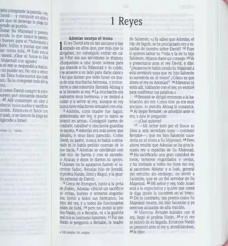Biblia Nueva Version Internacional Letra Grande Fucsia/ Rosa