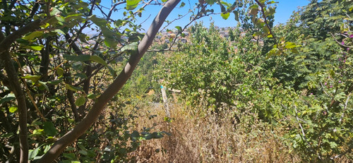 Se Vende Terreno De 200mt Con Casa Población Las Palmeras