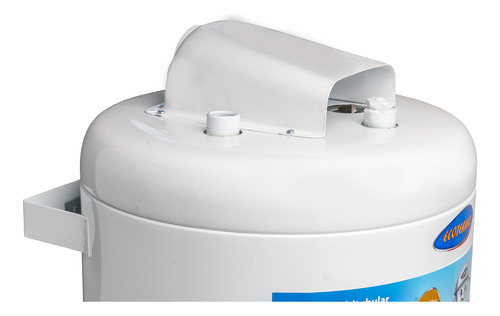 Termotanque A Gas 51lts Ecotermo Ep 53 Superior