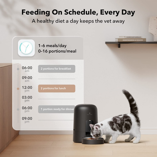Petlibro Comedero Automático Para Gatos Dispensador De