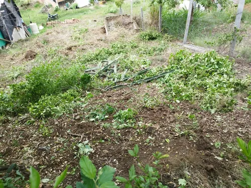 Se Vende Lote En Vereda Vidal (la Chivera)