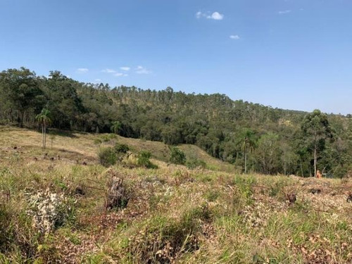 Br Terreno Com Ótima Topografia