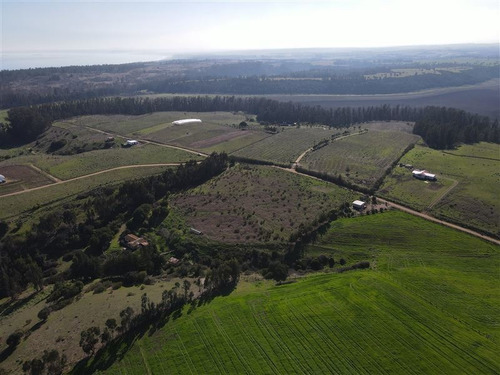 Imagen 6 de 8 de Agrícola En Venta En Santo Domingo