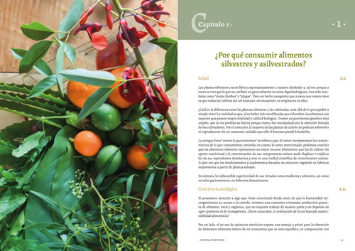 Iakovleva: Cocina Silvestre 2