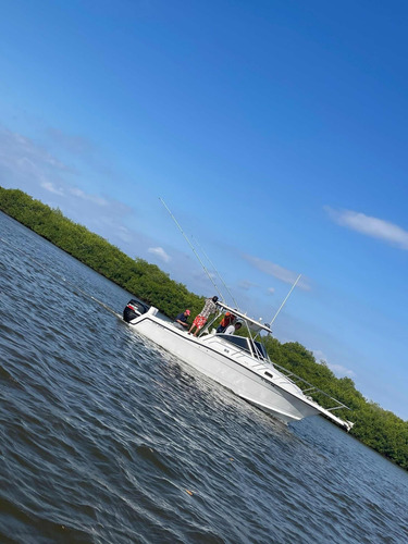 Yate Quest Modelo Saltfish 257 Walk Around