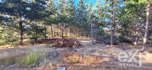 Vende Rebajado Parcela 1 Has Con Vista Al Mar, Pichilemu