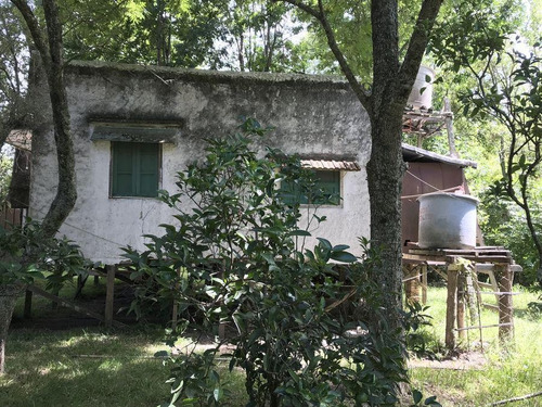 Imagen 10 de 17 de Samek Propiedades Quinta En El Paraná Miní. Muy Linda Vista
