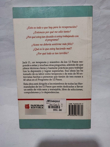 Cómo Manejar La Depresión En Los 12 Pasos (Usado)