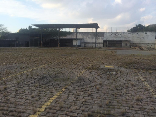 Imagem 6 de 10 de Galpão À Venda, Cambuci - São Paulo/sp - 1561