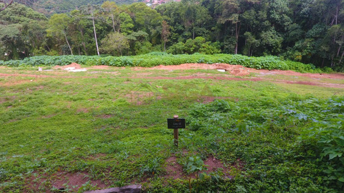 Imagem 2 de 9 de Lotes Exclusivos No Cônego - Lote 10 - 235
