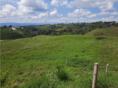 Venta Finca Ganadera Filandia Via Quimbaya - 41 Cuadras