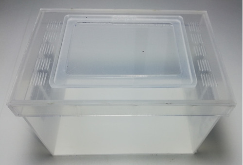 Caja De Acrílico De 15x10x10, Para Hormigueros, Terrarios.