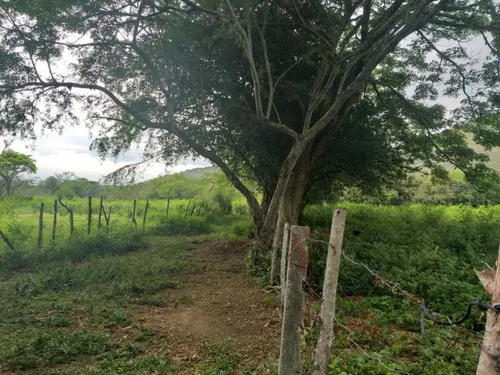 Finca En Venta En Yotoco. Cod V8605