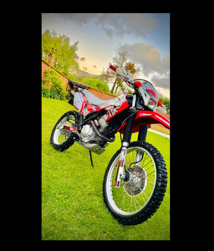 Imagen 5 de 5 de Honda Tornado Xr 250
