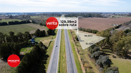 Venta Campo Sobre Ruta 7 Luján - Cortines